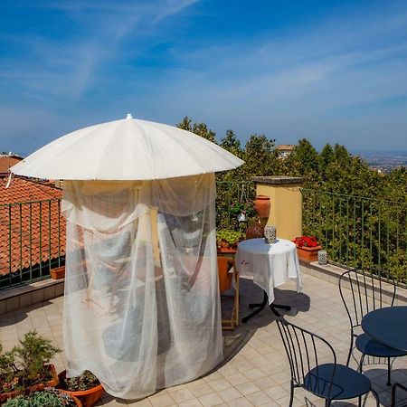 B&B Buonfiglio Cicconcelli - Terrazza Panoramica Frascati Buitenkant foto